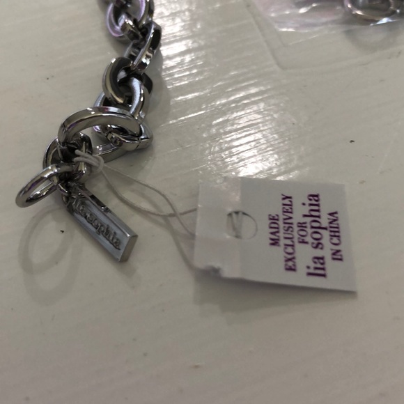 NWT Lia Sophia Polished Silver Necklace - Picture 2 of 3